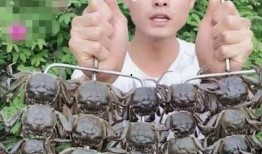 文安某网红吃瓜事件,揭秘背后真相与网络舆论风暴